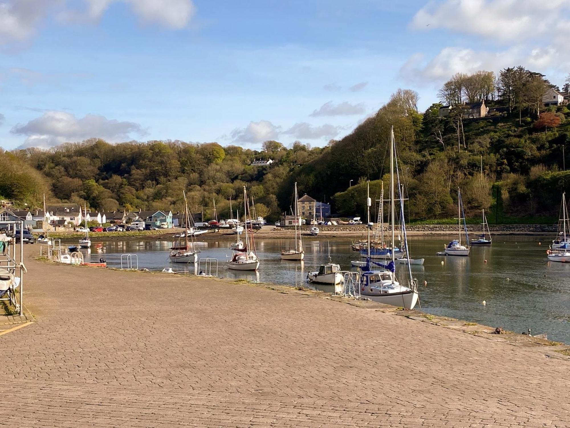 Snowdrop Cottage Fishguard Esterno foto